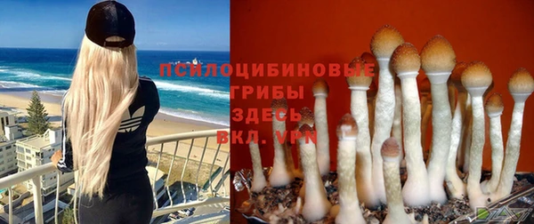 мдпв Горнозаводск
